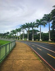 Walking morning at the park