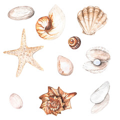 Sea adventure watercolor illustration set