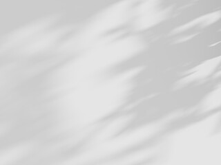 Obraz premium white background of organic shadow over white textured wall