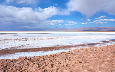 cejar lagoon in atacama desert, chile