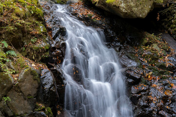 Fototapeta premium 白猪の滝