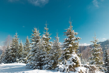 mountain landscape in the winter