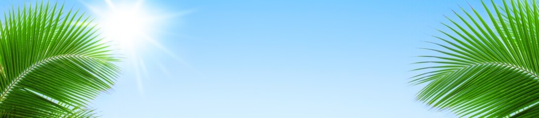 Palm tree leaves blue sky and sun background frame, green palm branch border, tropical island sea beach panorama banner, summer holidays template, vacation design, travel, tourism backdrop, copy space