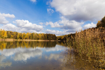 A pond in the forest, an autumn landscape, a calm water surface and a forest in autumn.