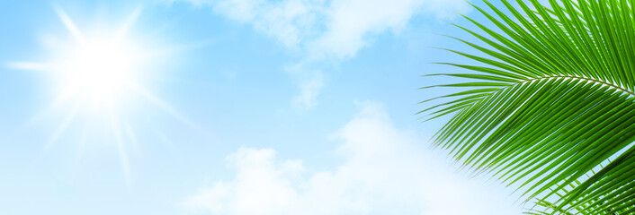 Fototapeta na wymiar Palm tree leaf blue sky sun clouds background frame, green palm branch border, tropical island sea beach banner, summer holidays template, vacation design, travel pattern, tourism backdrop, copy space