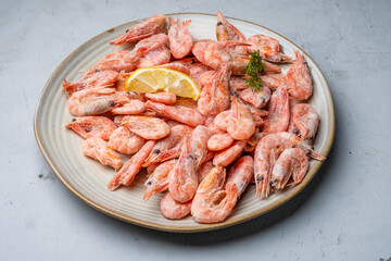 Northern shrimp frozen in a plate on a gray background.