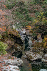 Obraz premium 面河渓谷