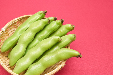 色背景の竹笊の上の収穫したてのそら豆
