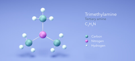 trimethylamine molecule, molecular structures, tertiary amine, 3d model, Structural Chemical Formula and Atoms with Color Coding