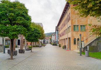 Fototapeta na wymiar Vaduz in Liechtenstein
