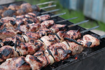 pork meat kebab on the grill close-up