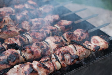 pork meat kebab on the grill close-up