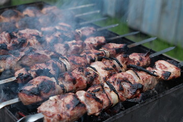 pork meat kebab on the grill close-up