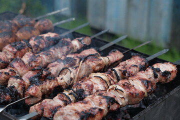 pork meat kebab on the grill close-up