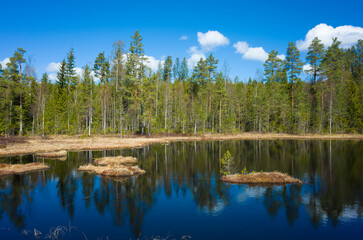 Fototapeta na wymiar Nordic forest reflecting in calm water of Lilla Hyttjarnen lake in Malingsbo-Kloten Nature Reserve, noble fishing destination in Sweden