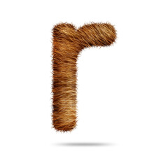 Small alphabet letter r design with brown fur texture