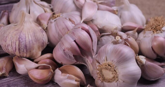 Fresh garlic with intense unique flavor and aroma on wooden background. One of the most popular ingredients of the basic recipes with nutritional properties and health benefits. Dolly shot 4k