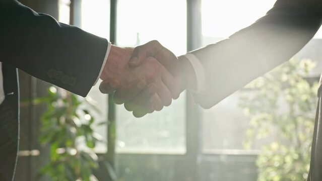 Close-up male office corporate handshaking. Two unrecognizable men shake hands in company meeting sunny sun background. Diverse businessmen handshake successful business deal partnership cooperation