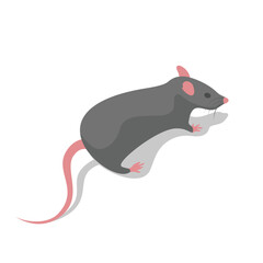 Runaway mouse, rear view close-up. Gray rodent isometric style. Vector illustration flat design. Isolated on white background.