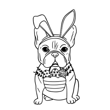 Dog with rabbit ears and easter basket. Easter Dog. French bulldog black and white hand drawn portrait. Happy Easter card with dog wearing bunny ears. Good for posters, t shirts, postcards.