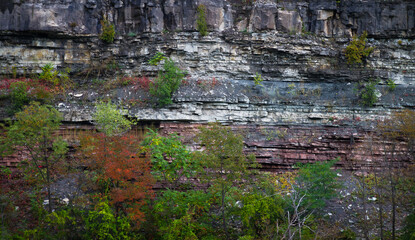 Rock cliff