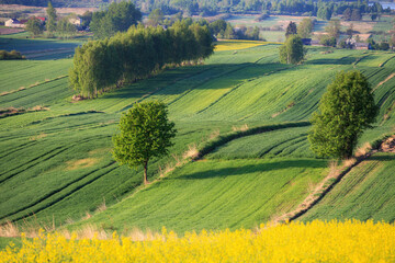 fields in Roztocze