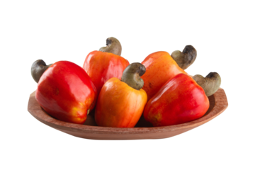Fresh ripe cashew fruits isolated