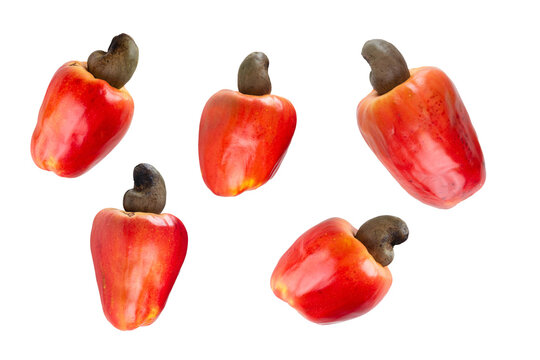 Fresh ripe cashew fruits isolated