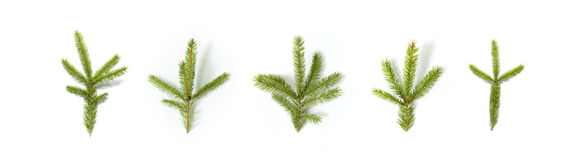 Composition with fir tree branch isolated on white background. Elements for Christmas greeting card. Holiday decorations.