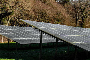 Solar panels surrounded by trees