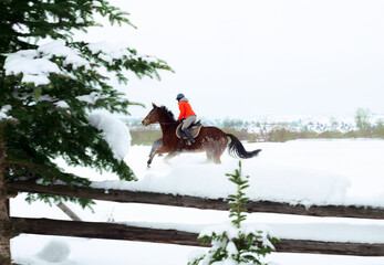 Young girl riding her horse in snowly winter day