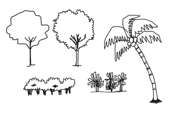 illustration of a tree and shrubs and palm for landscape design