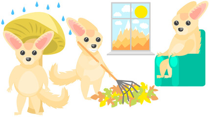 Set Abstract Collection Flat Cartoon Different Animal Fenech Hiding From The Rain Under A Mushroom, Picking Up Leaves With A Rake, Sitting And Looking Out The Window Vector Design Fauna Wildlife