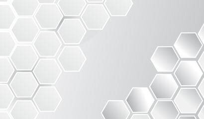 Hexagonal background with white and grey lines 3d structure futuristic grey background . honeycomb white Background , light shadow ,Vector.                                                   