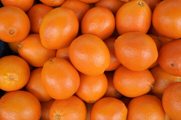 delicious oranges in the market