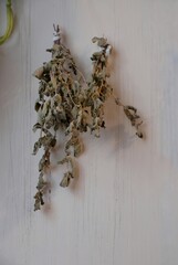 herbs and spices, dried mint leaves