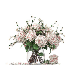 decorative flowers and plants for the interior, isolated on transparent background, 3D illustration, cg render
