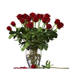 decorative flowers and plants for the interior, isolated on transparent background, 3D illustration, cg render
