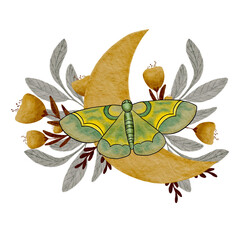 illustration of a butterfly. butterfly on a white background. Watercolor insects. Plants. Branches. Watercolor leaves. fly. Postcard design, printing, invitations. Watercolor butterfly.