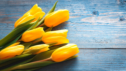 Background with yellow tulips on blue painted old wooden planks.