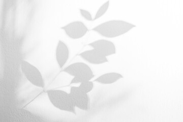 Leaf shadow and light on wall background. Nature tropical leaves tree branch and plant shade with...