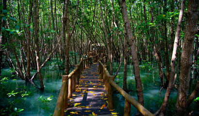 Obraz premium Thailand Chumphon National Park