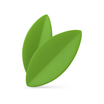 Two green leaves Easter decorative element summer plant organic nature foliage 3d icon vector