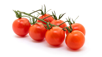 Ripe fresh cherry tomatoes on branch. Full depth of field