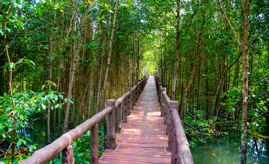 Thailand Chumphon National Park