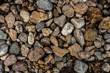 Brown and Gray Rocks Cover Trail