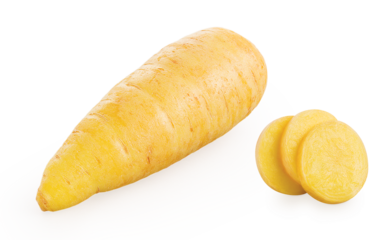 mandioquinha inteira e rodelas mandioquinha - batata baroa 