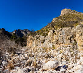 The McKittrick Canyon Trail Along  McKittrick Creek, Guadalupe Mountains National Park, Texas, USA