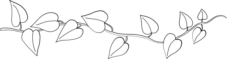 Simplicity ivy freehand drawing 