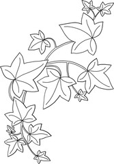 Simplicity ivy freehand drawing 
